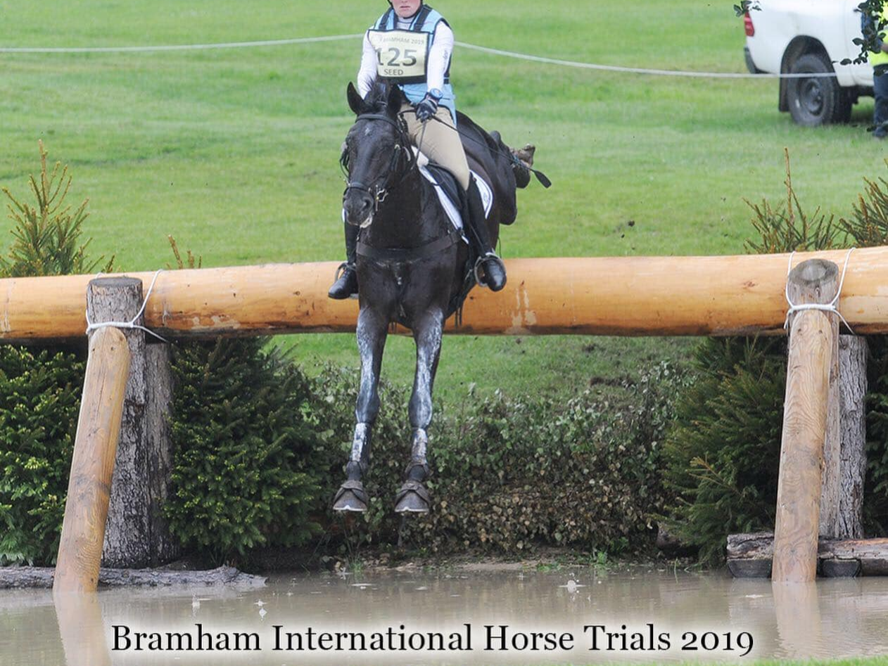 Philanderer II stallion