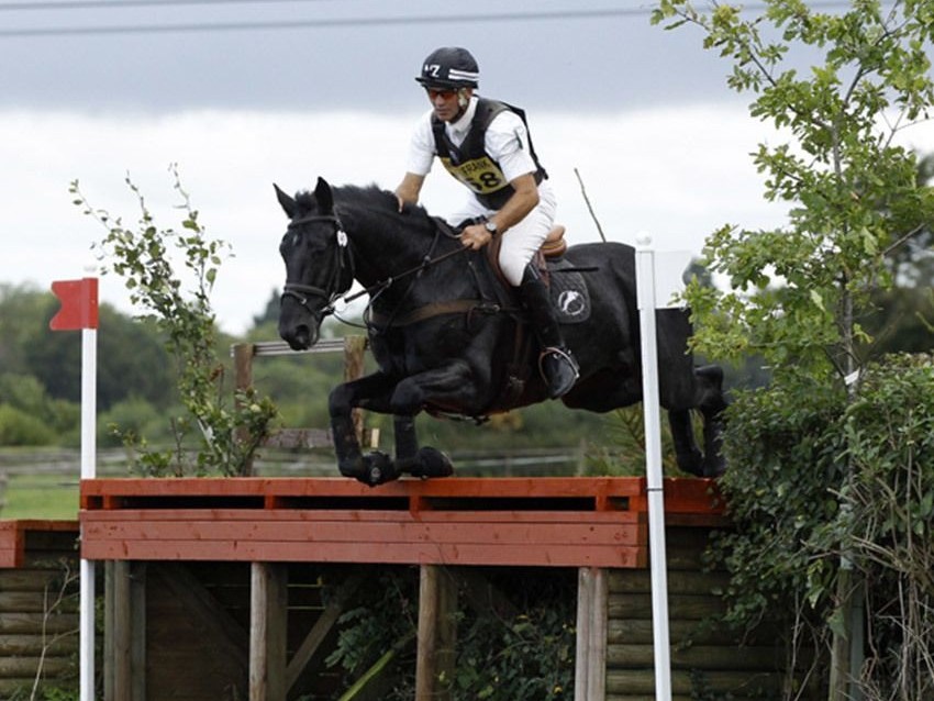 Philanderer II stallion