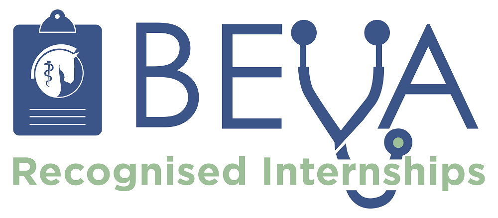BEVA Internships