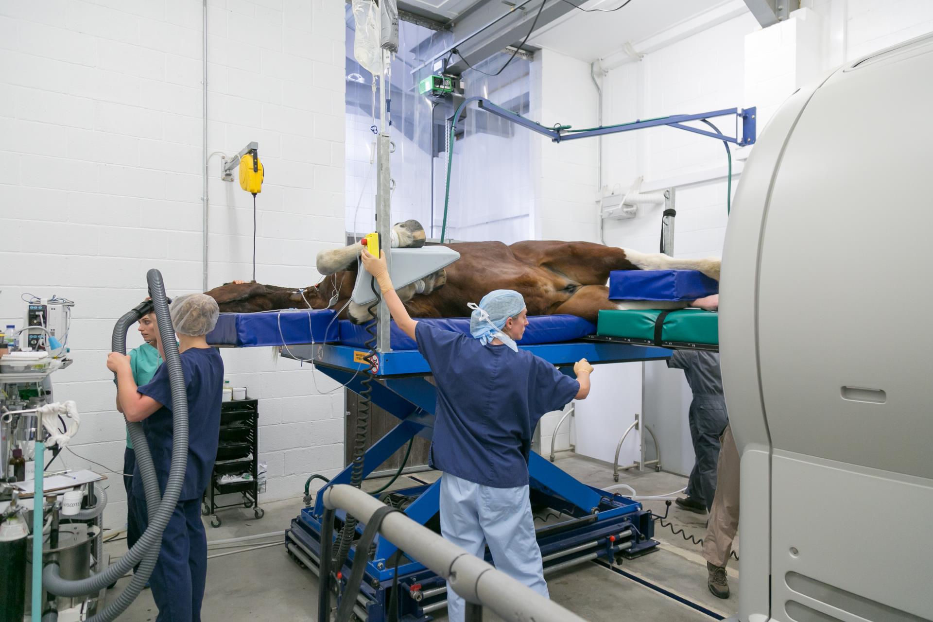 CT Scanning under GA