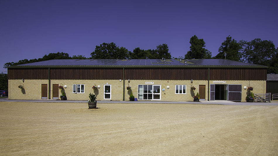 Equine Hospital B&W Equine